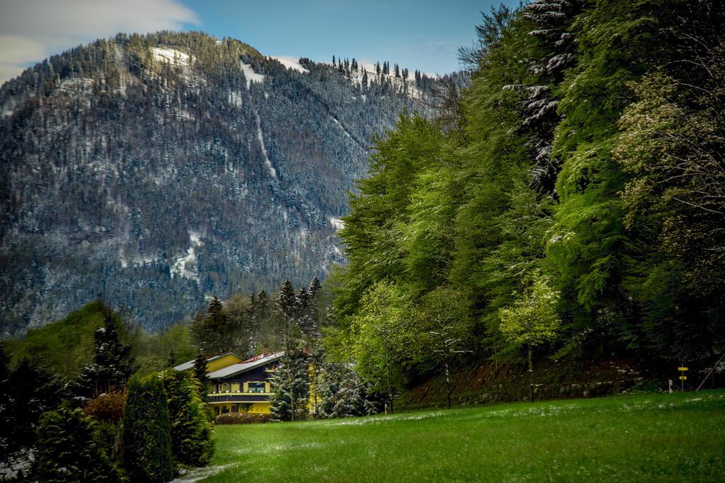 Hotel Garni Zeranka Ruhpolding Eksteriør bilde